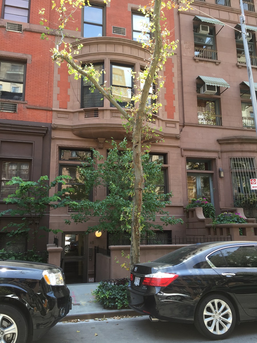 48 West 71st Street