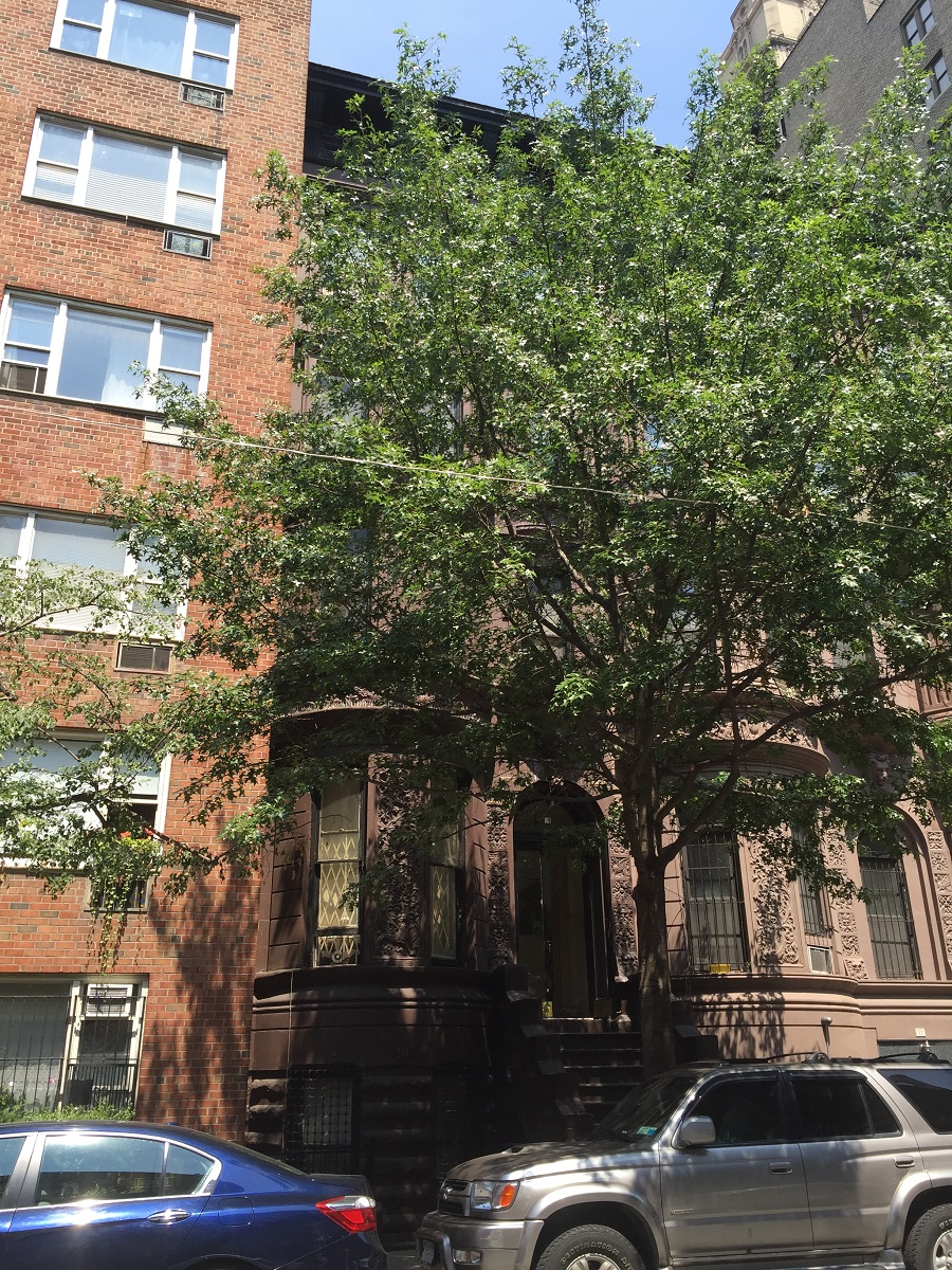 39 West 71st Street