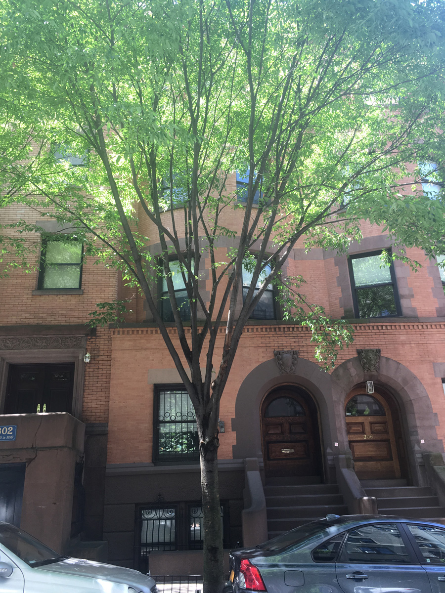 304 West 77th Street