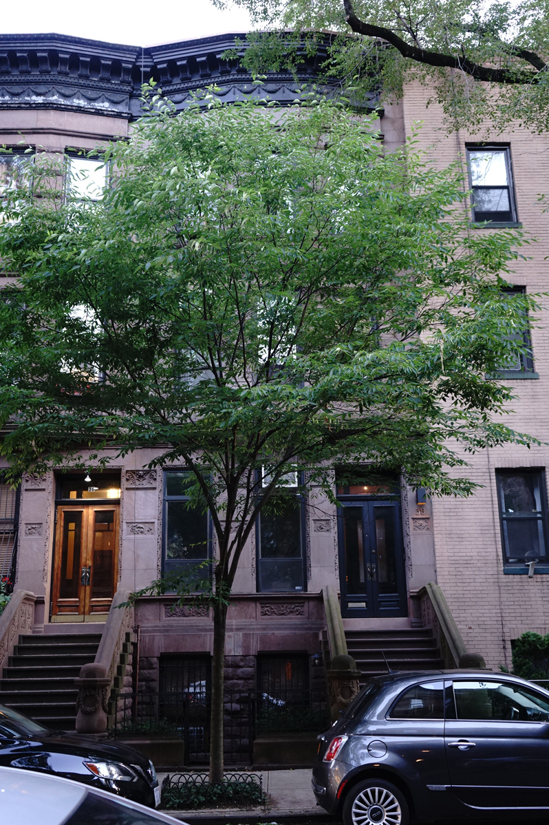 38 West 95th Street