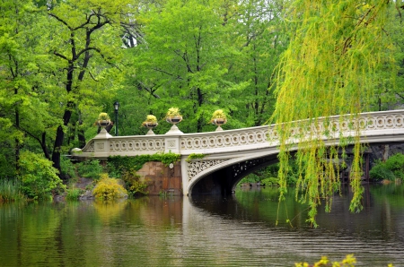 CANCELLED! Rain Date is now June 19th Vaux Bridges of Central Park Walking Tour