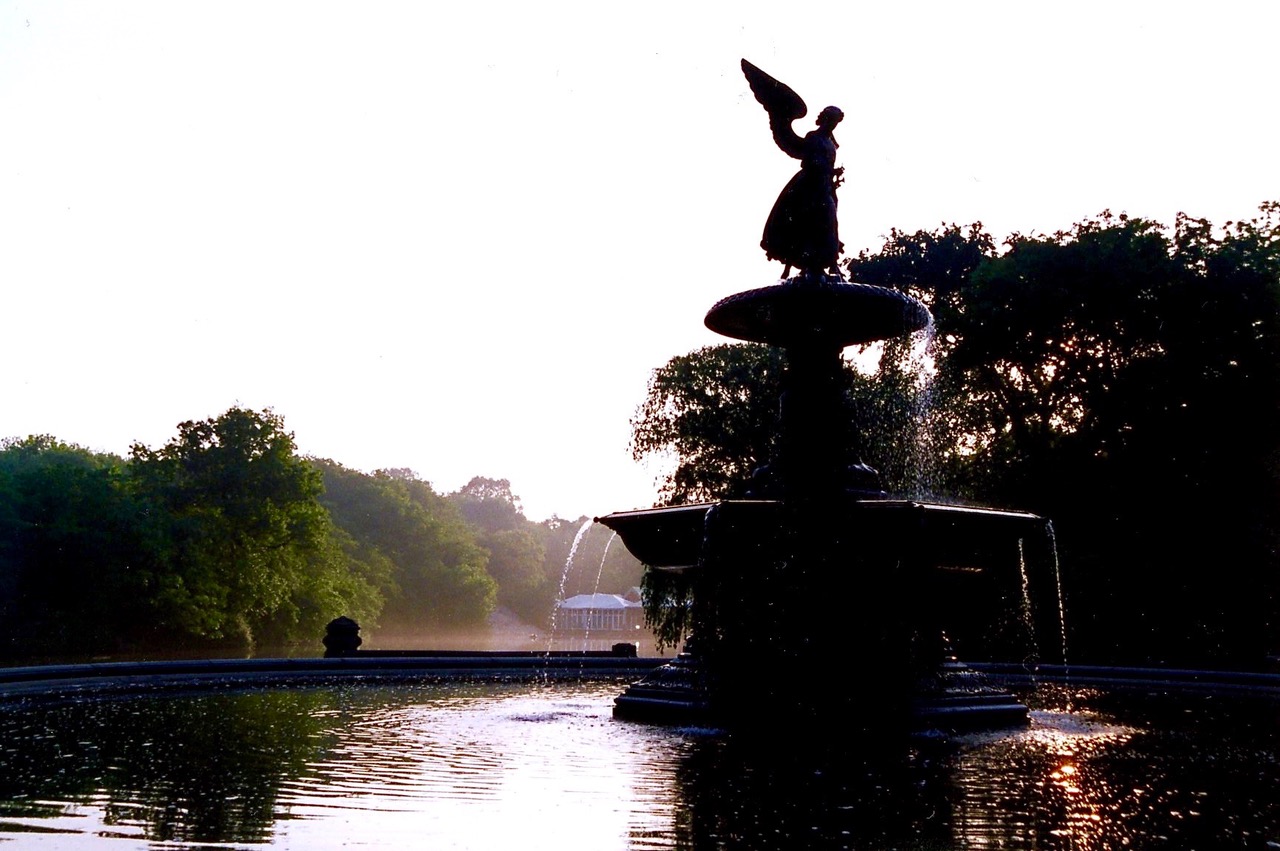 Poetry of Central Park Walk with Stephen Wolf   