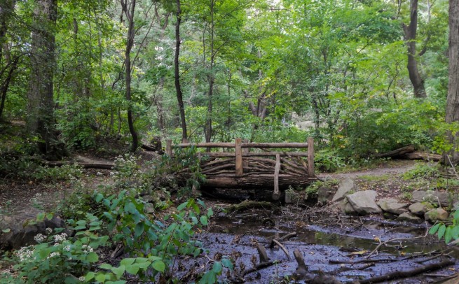 Ramblin’ in the Ramble Walk with Leslie Day