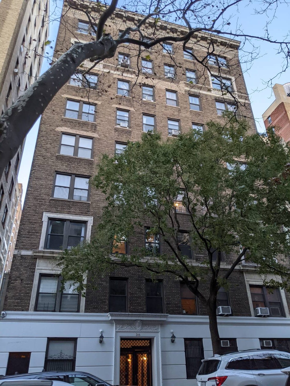 315 West 102nd Street (aka 315-317 West 102nd Street)