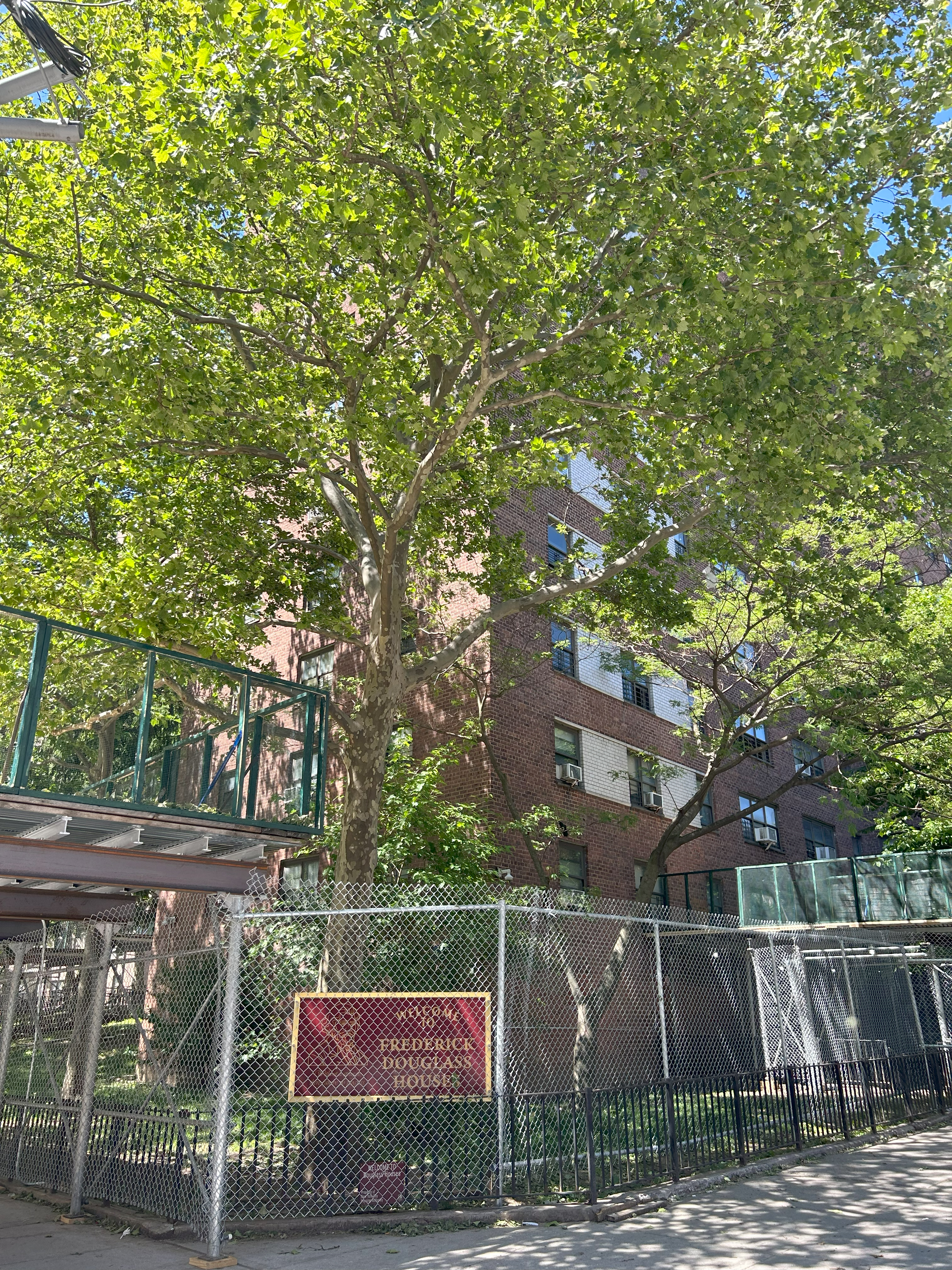 55 West 100th Street: Frederick Douglass Houses Building 5 (1 Manhattan Avenue)