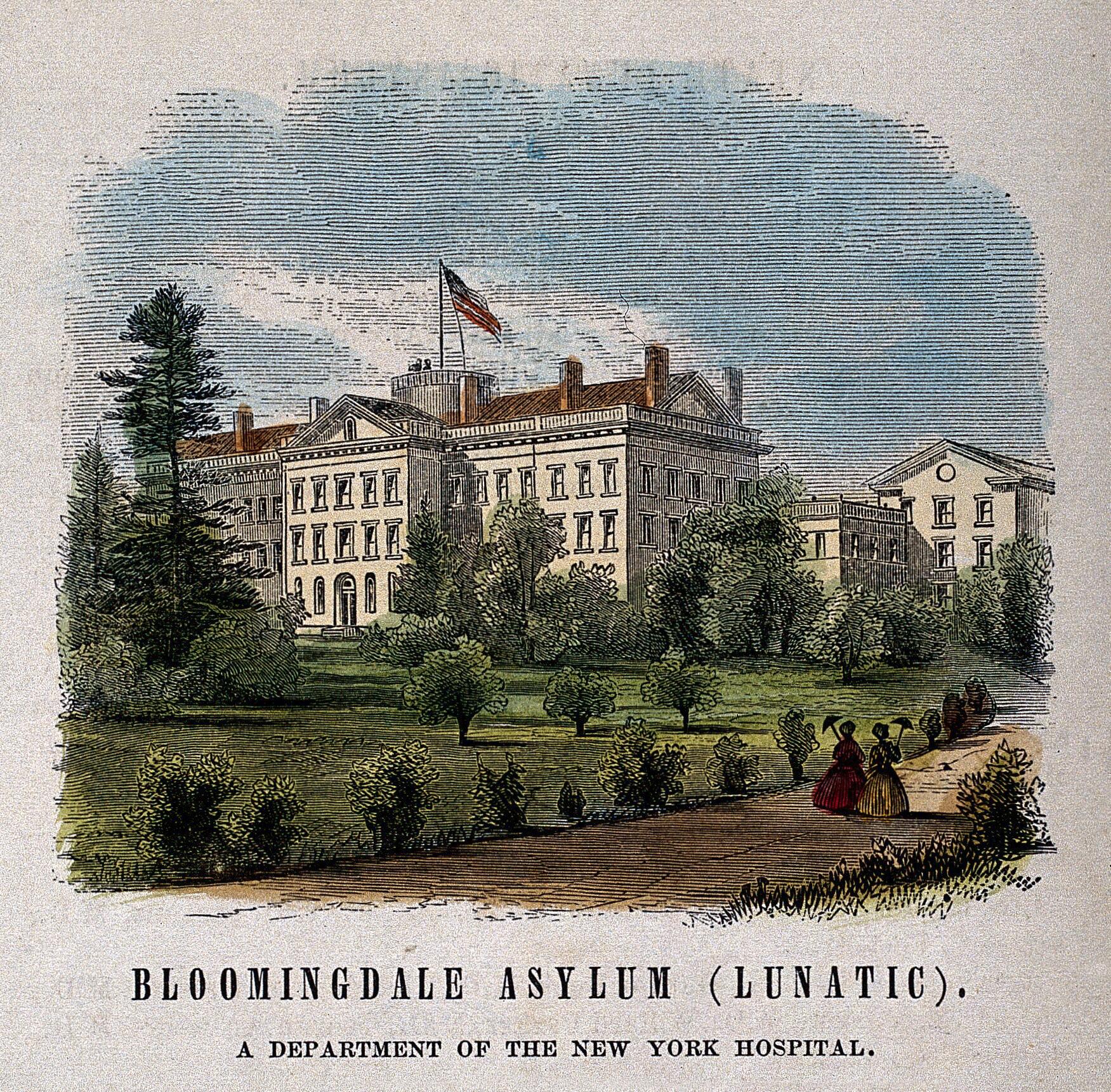 The Bloomingdale Asylum: A New Vision