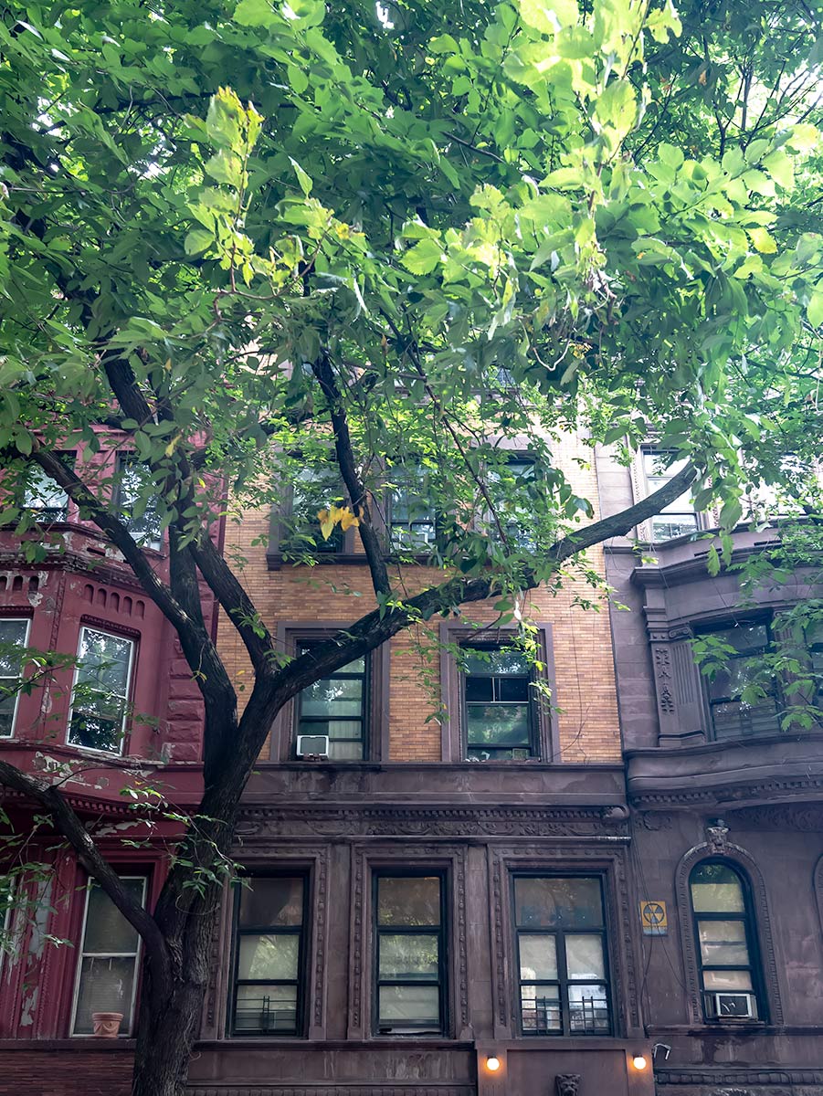 51 West 89th Street